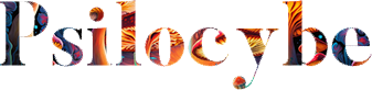 Psilocybe
